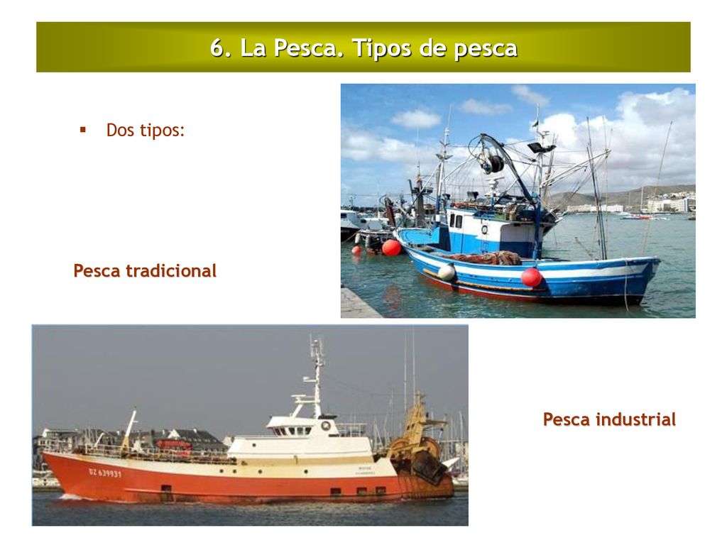 6. La Pesca. Tipos de pesca Dos tipos: Pesca tradicional