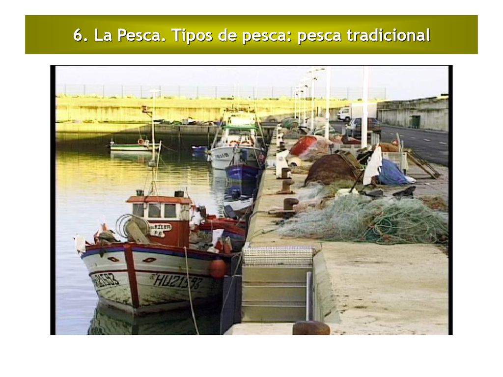6. La Pesca. Tipos de pesca: pesca tradicional