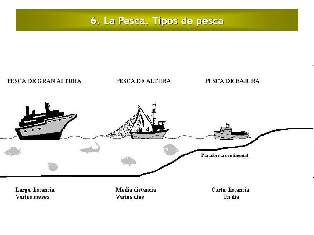6. La Pesca. Tipos de pesca