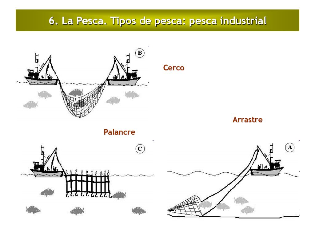 6. La Pesca. Tipos de pesca: pesca industrial