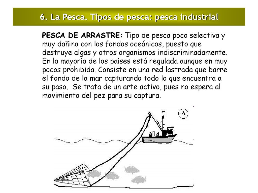6. La Pesca. Tipos de pesca: pesca industrial