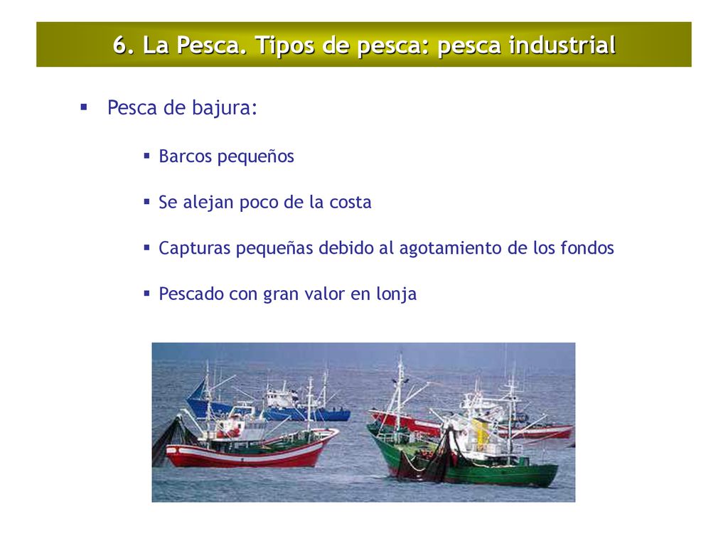 6. La Pesca. Tipos de pesca: pesca industrial