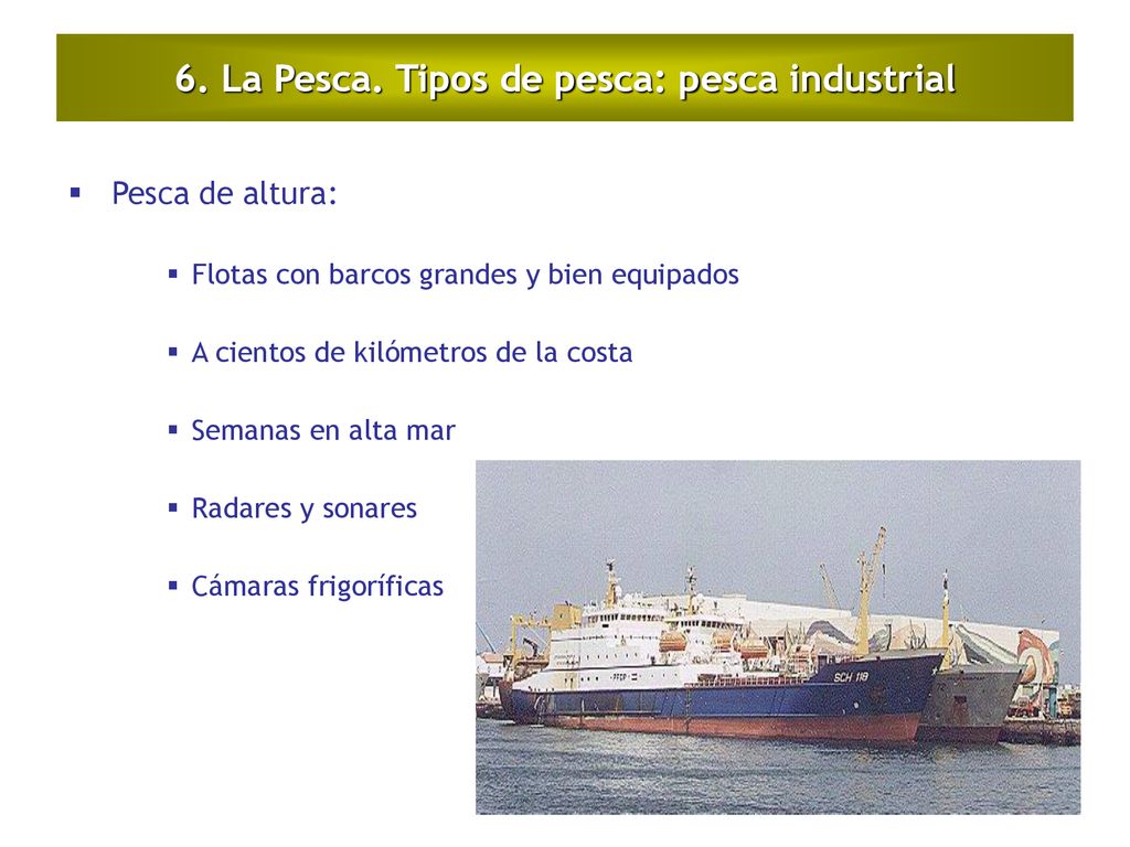 6. La Pesca. Tipos de pesca: pesca industrial