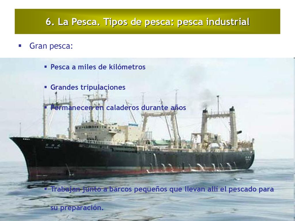 6. La Pesca. Tipos de pesca: pesca industrial