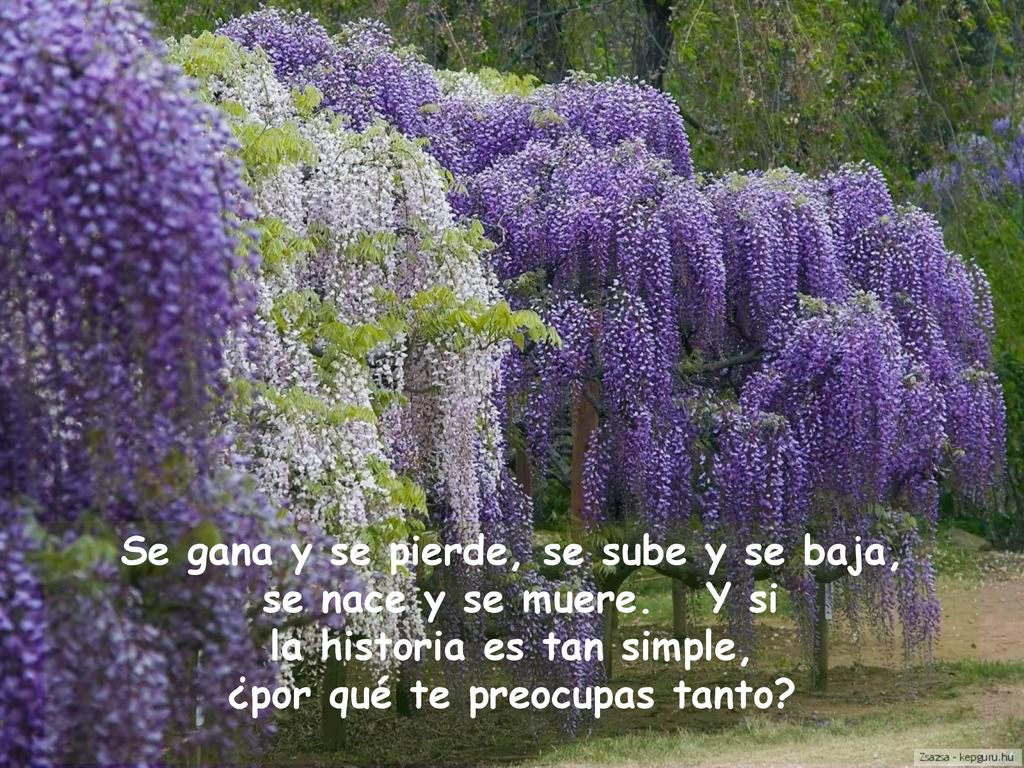 Se gana y se pierde, se sube y se baja, se nace y se muere. Y si