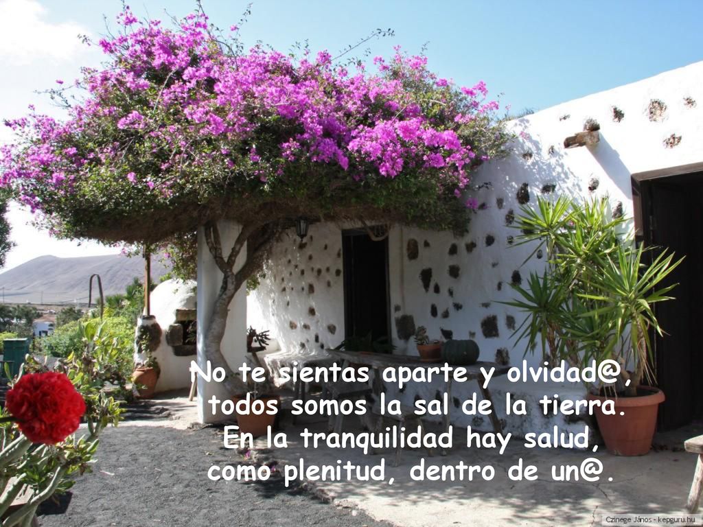 No te sientas aparte y todos somos la sal de la tierra.