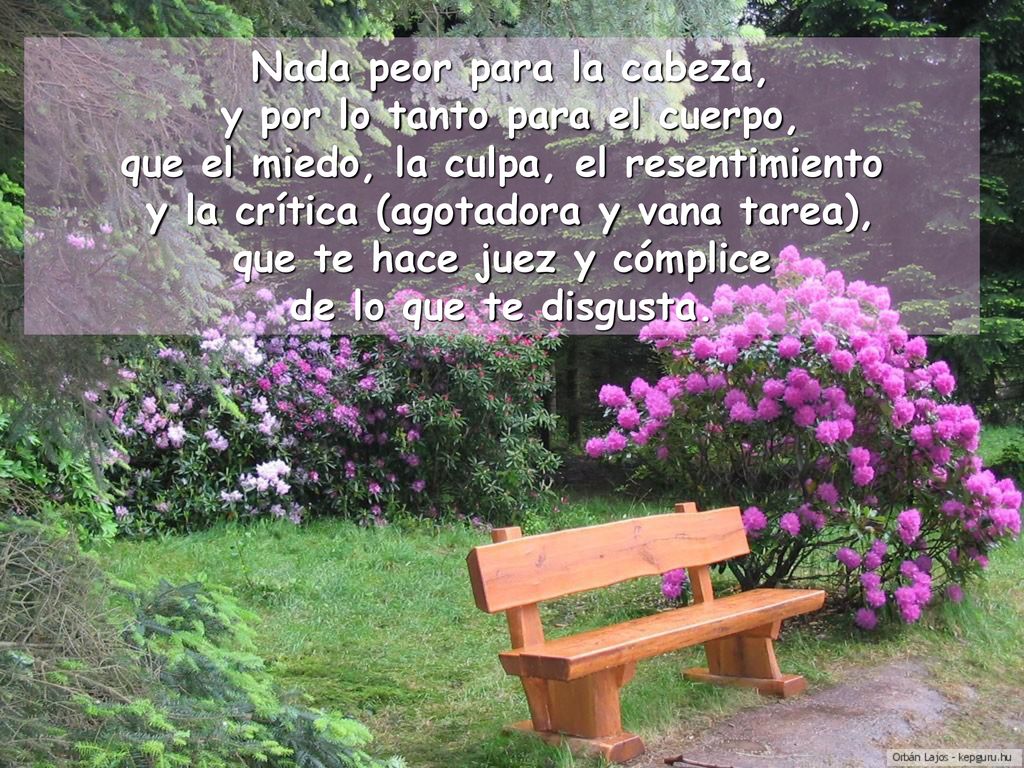 Nada peor para la cabeza, y por lo tanto para el cuerpo,