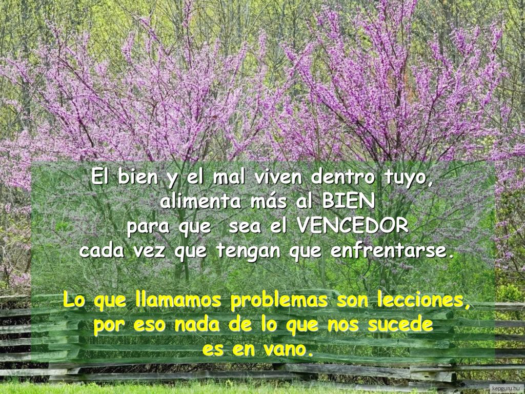 El bien y el mal viven dentro tuyo, alimenta más al BIEN