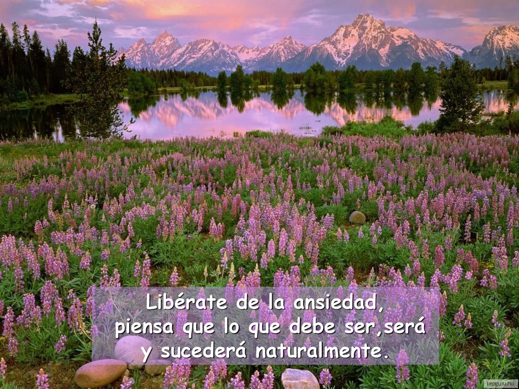 Libérate de la ansiedad, piensa que lo que debe ser,será