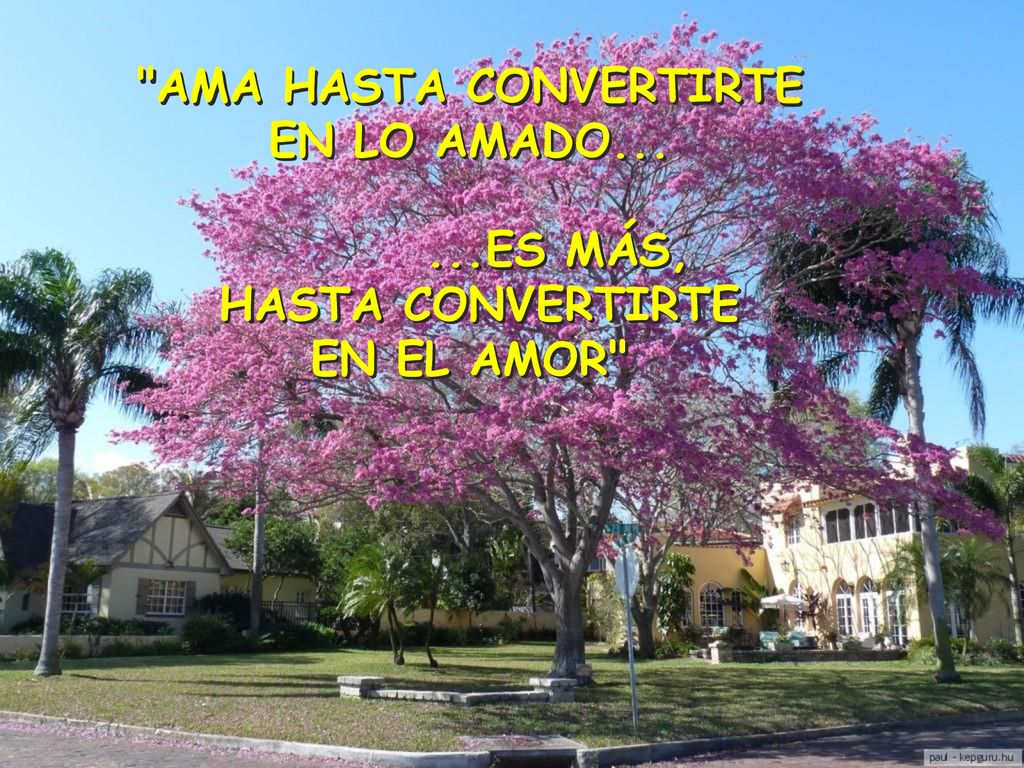 AMA HASTA CONVERTIRTE EN LO AMADO ES MÁS, HASTA CONVERTIRTE EN EL AMOR