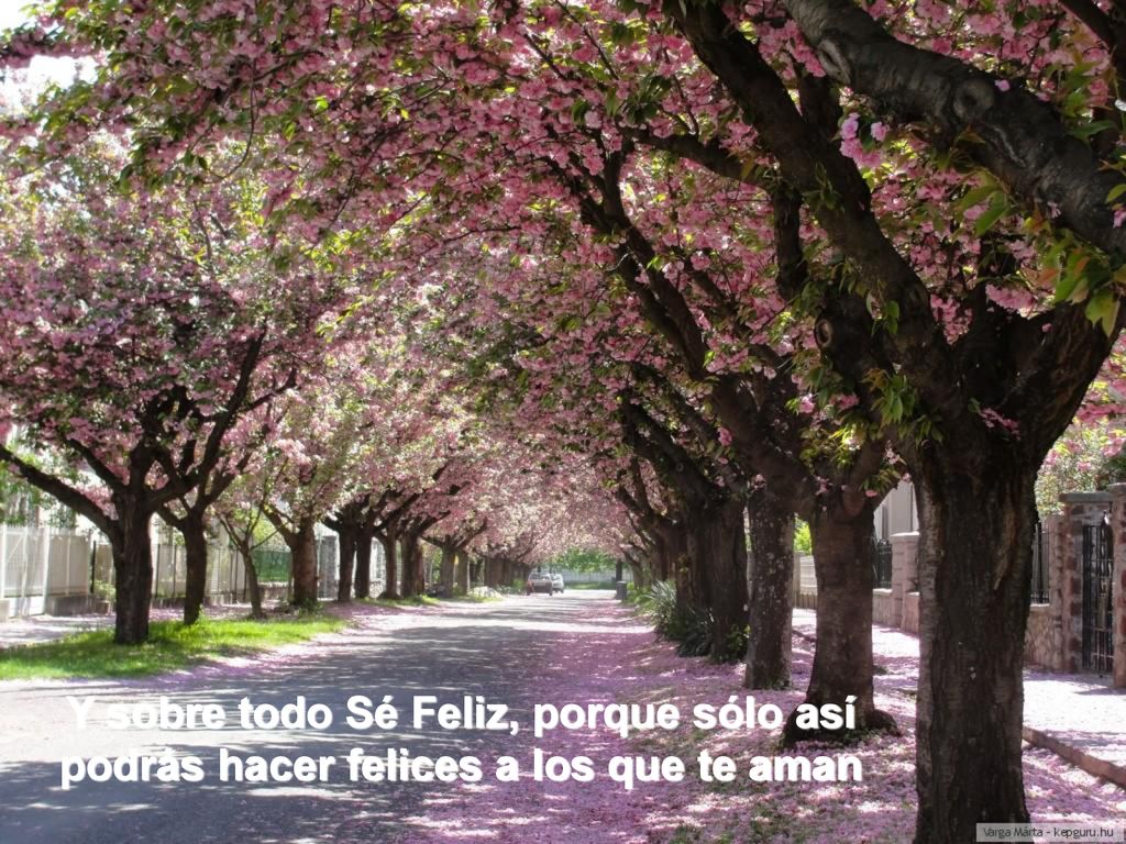 Y sobre todo Sé Feliz, porque sólo así podrás hacer felices a los que te aman