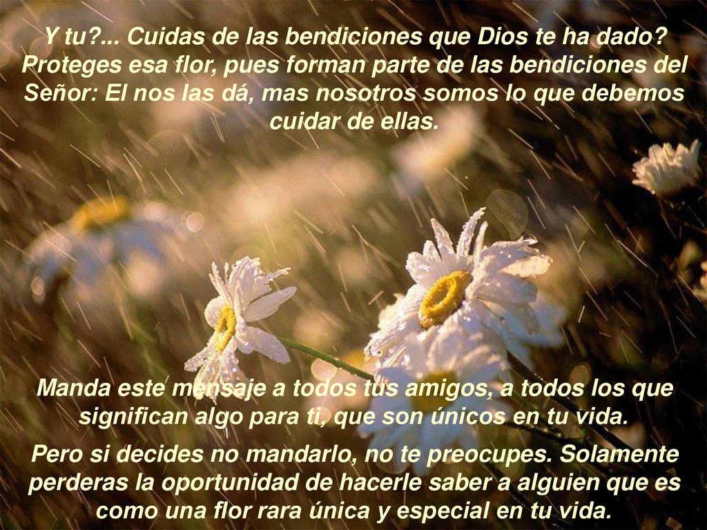 Y tu. Cuidas de las bendiciones que Dios te ha dado