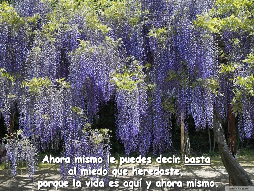 Ahora mismo le puedes decir basta al miedo que heredaste,