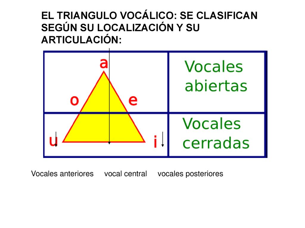 EL TRIANGULO VOCÁLICO: SE CLASIFICAN SEGÚN SU LOCALIZACIÓN Y SU ARTICULACIÓN:
