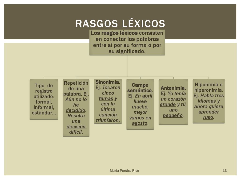 Rasgos léxicos Los rasgos léxicos consisten en conectar las palabras entre sí por su forma o por su significado.