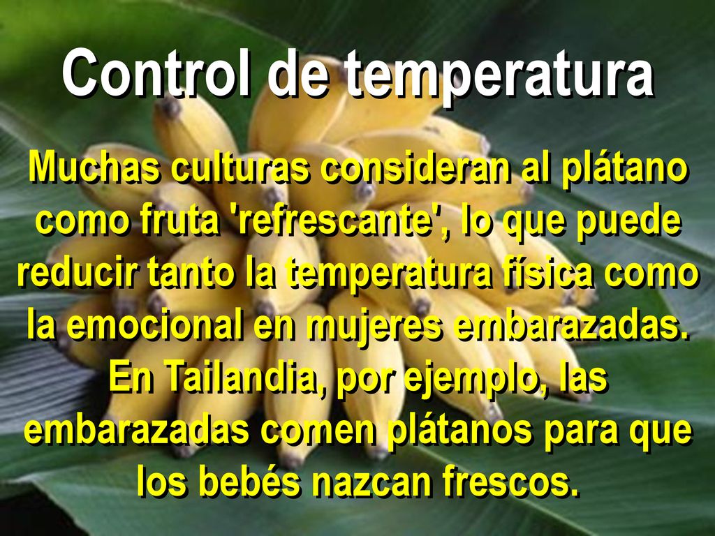 Control de temperatura Muchas culturas consideran al plátano como fruta refrescante , lo que puede reducir tanto la temperatura física como la emocional en mujeres embarazadas.
