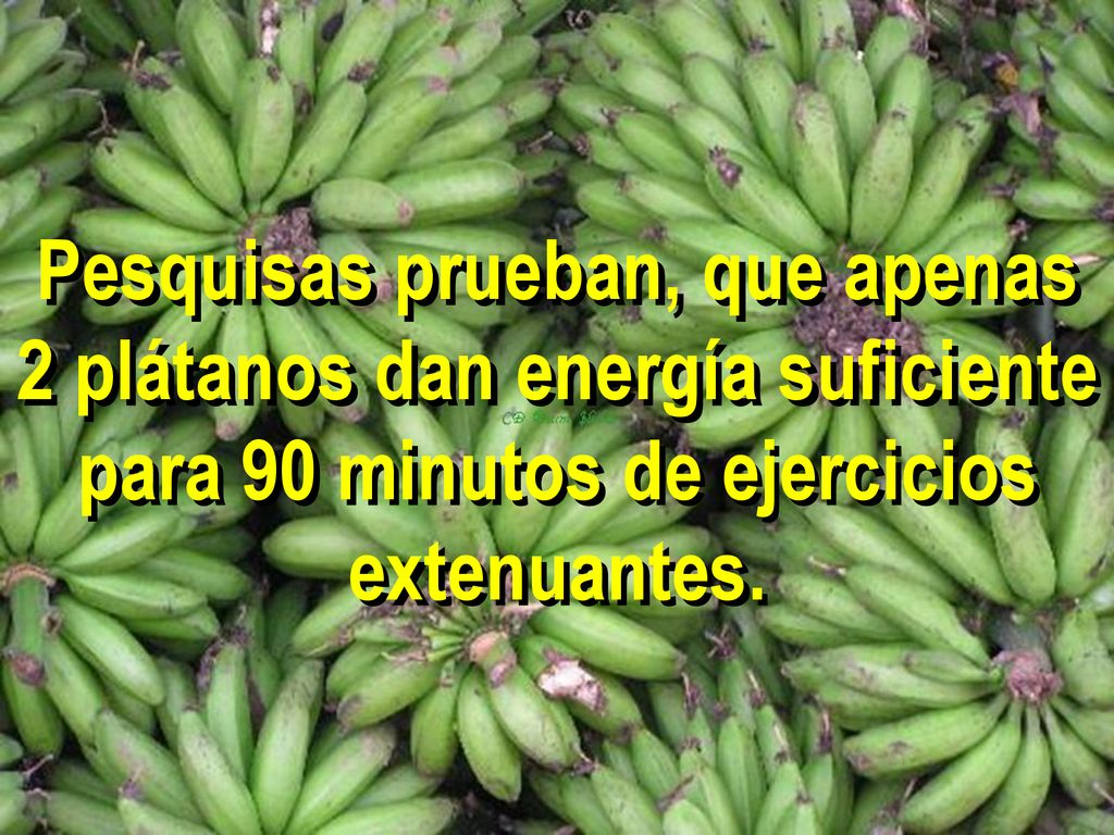 Pesquisas prueban, que apenas 2 plátanos dan energía suficiente para 90 minutos de ejercicios extenuantes.