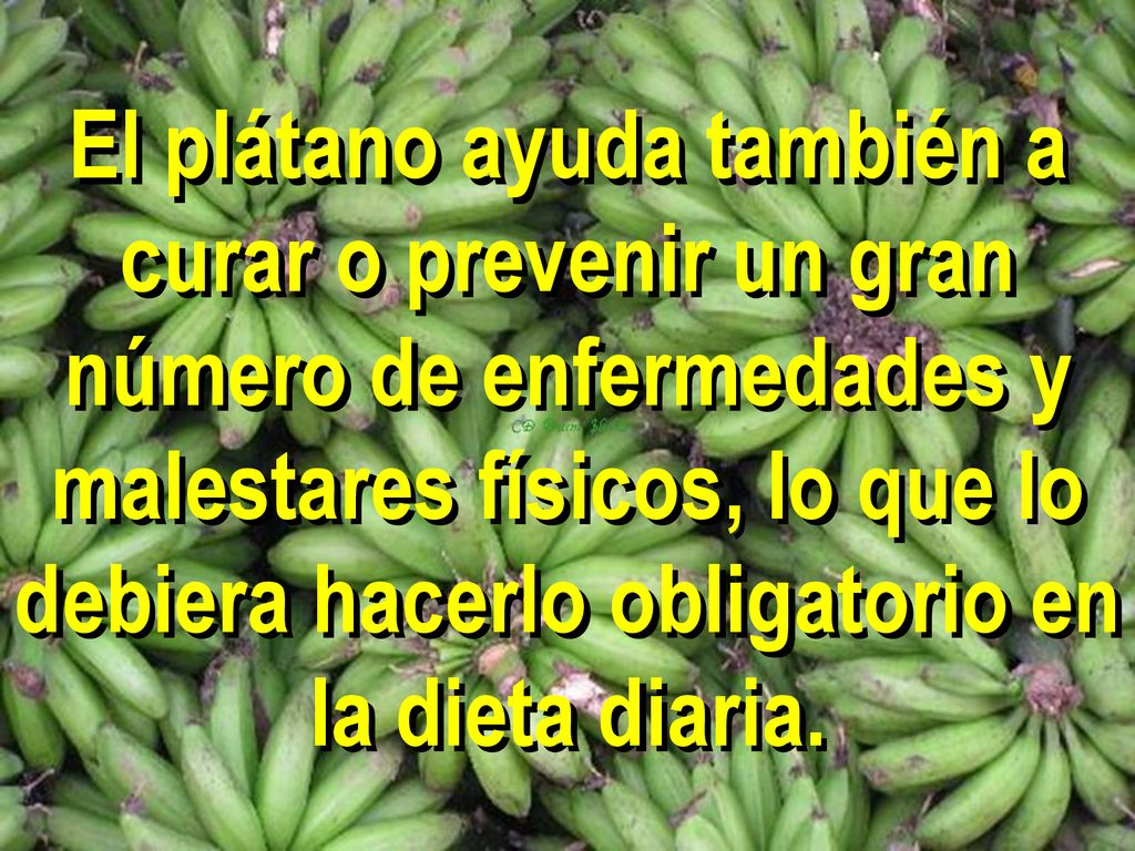 El plátano ayuda también a curar o prevenir un gran número de enfermedades y malestares físicos, lo que lo debiera hacerlo obligatorio en la dieta diaria.