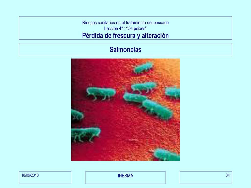 Riesgos sanitarios en el tratamiento del pescado Lección 4ª : Os peixes Pérdida de frescura y alteración