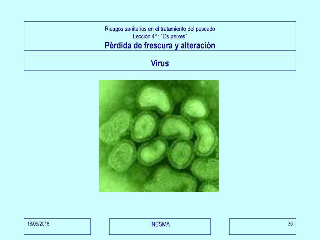 Riesgos sanitarios en el tratamiento del pescado Lección 4ª : Os peixes Pérdida de frescura y alteración
