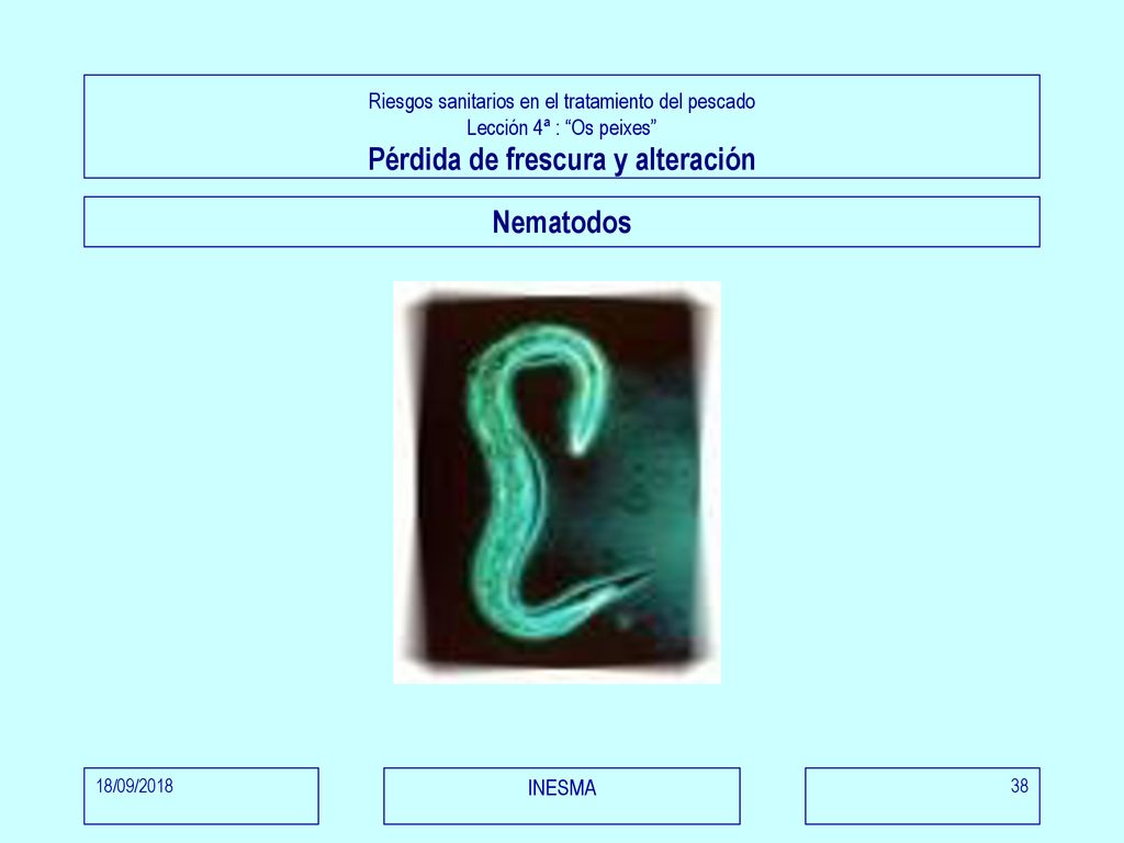 Riesgos sanitarios en el tratamiento del pescado Lección 4ª : Os peixes Pérdida de frescura y alteración
