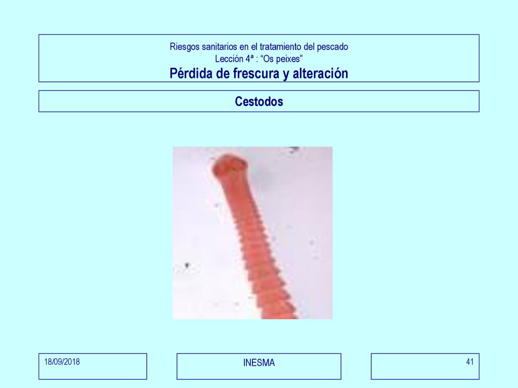 Riesgos sanitarios en el tratamiento del pescado Lección 4ª : Os peixes Pérdida de frescura y alteración