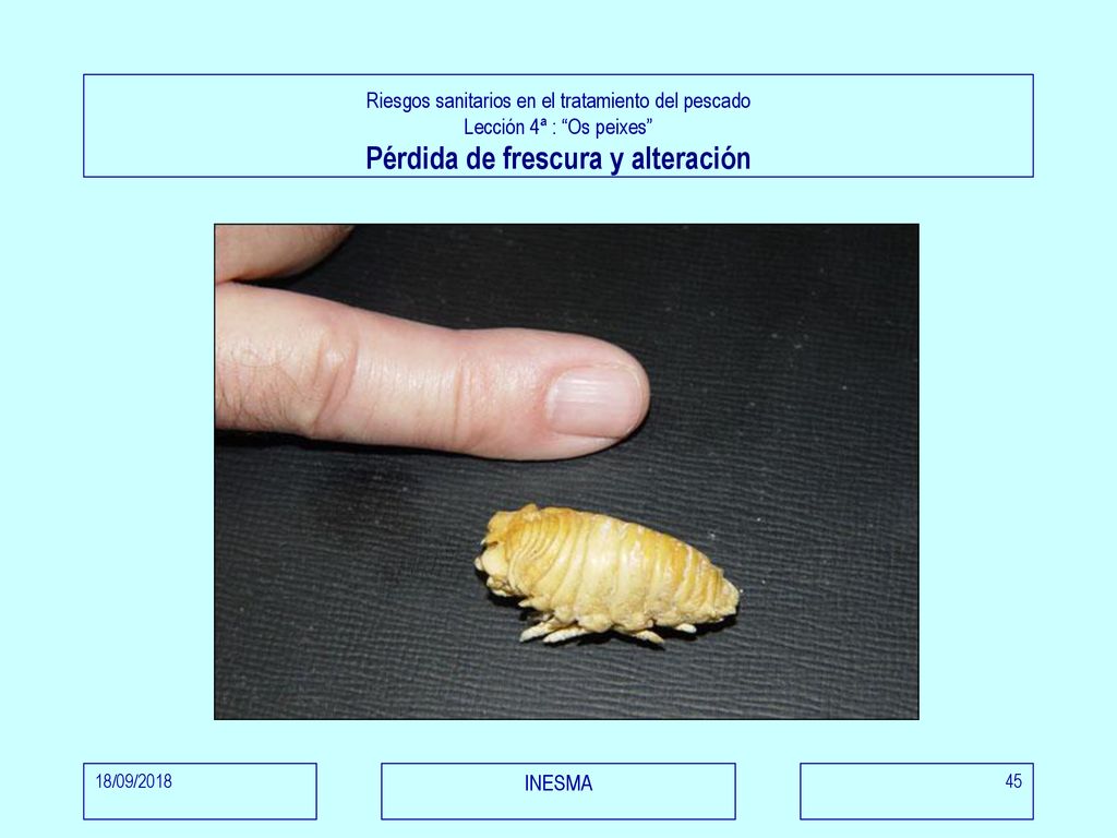Riesgos sanitarios en el tratamiento del pescado Lección 4ª : Os peixes Pérdida de frescura y alteración