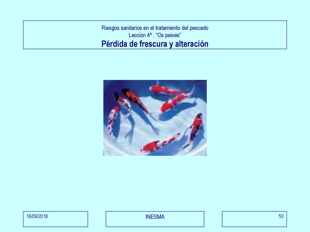 Riesgos sanitarios en el tratamiento del pescado Lección 4ª : Os peixes Pérdida de frescura y alteración