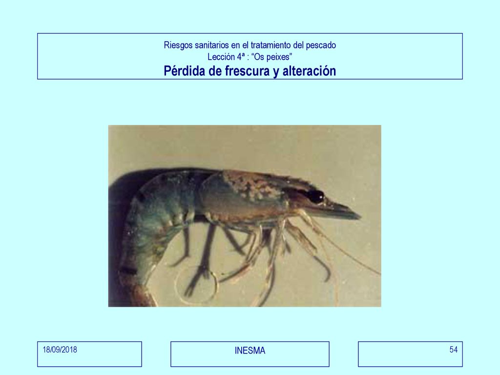 Riesgos sanitarios en el tratamiento del pescado Lección 4ª : Os peixes Pérdida de frescura y alteración