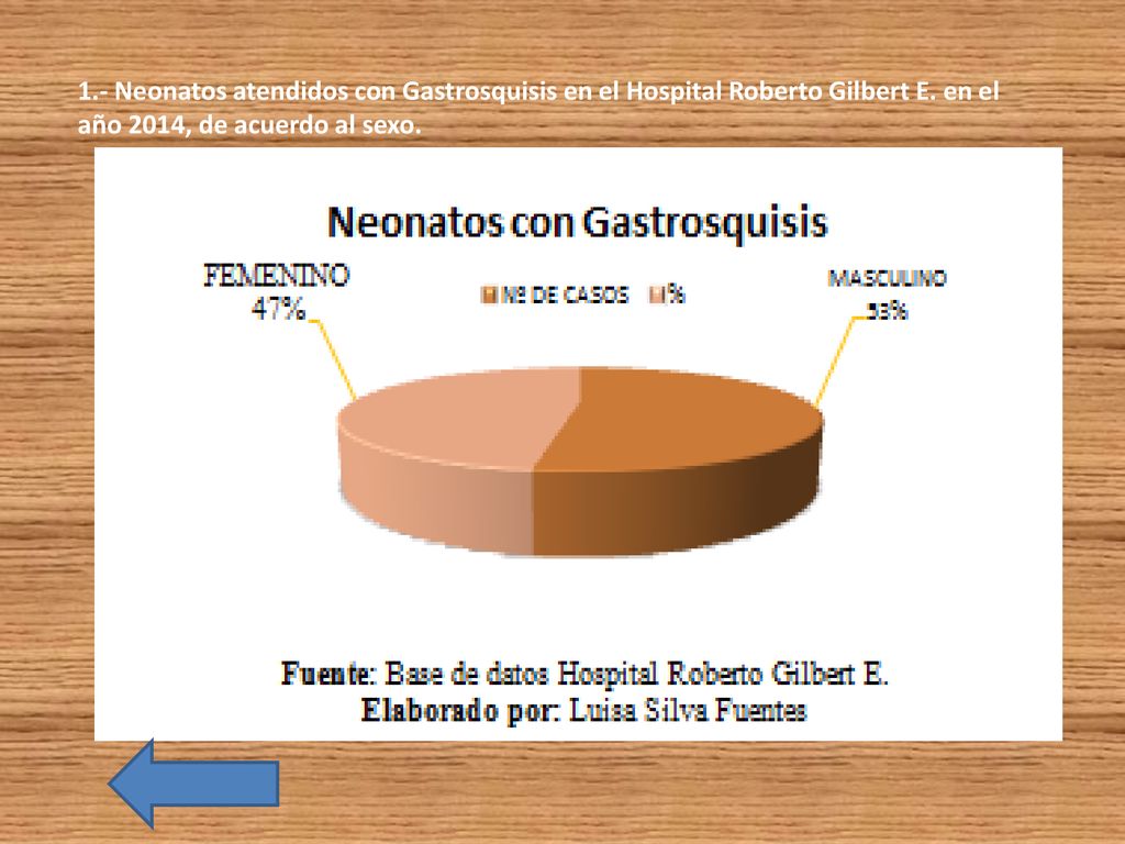 1.- Neonatos atendidos con Gastrosquisis en el Hospital Roberto Gilbert E.