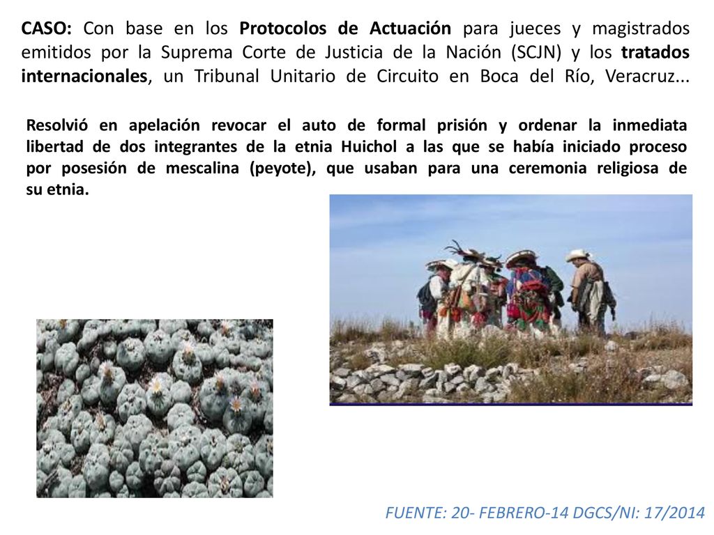 CASO: Con base en los Protocolos de Actuación para jueces y magistrados emitidos por la Suprema Corte de Justicia de la Nación (SCJN) y los tratados internacionales, un Tribunal Unitario de Circuito en Boca del Río, Veracruz...