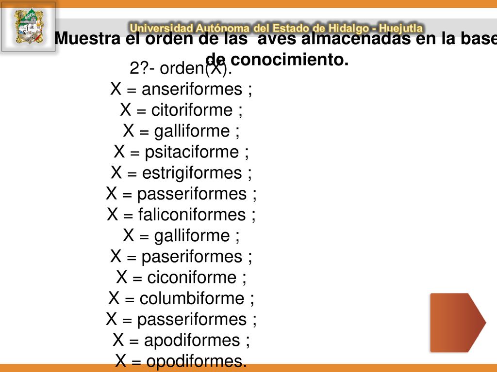 Muestra el orden de las aves almacenadas en la base de conocimiento.