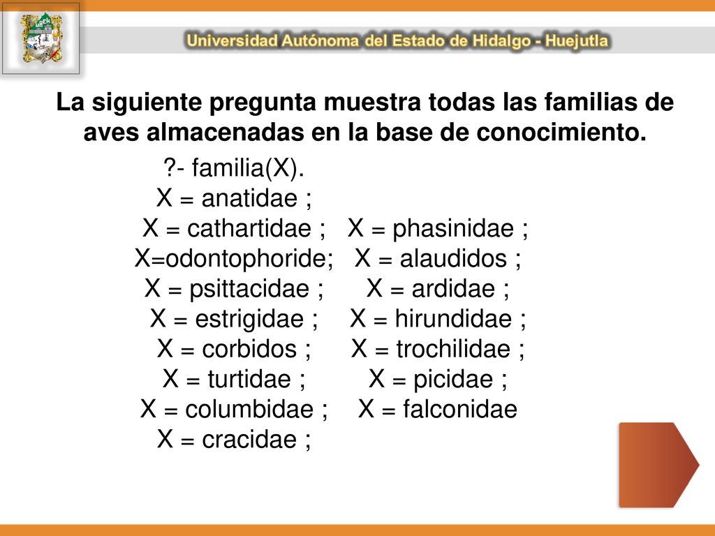 La siguiente pregunta muestra todas las familias de aves almacenadas en la base de conocimiento.