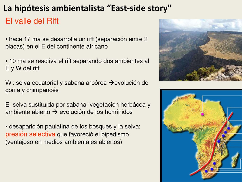 La hipótesis ambientalista East-side story