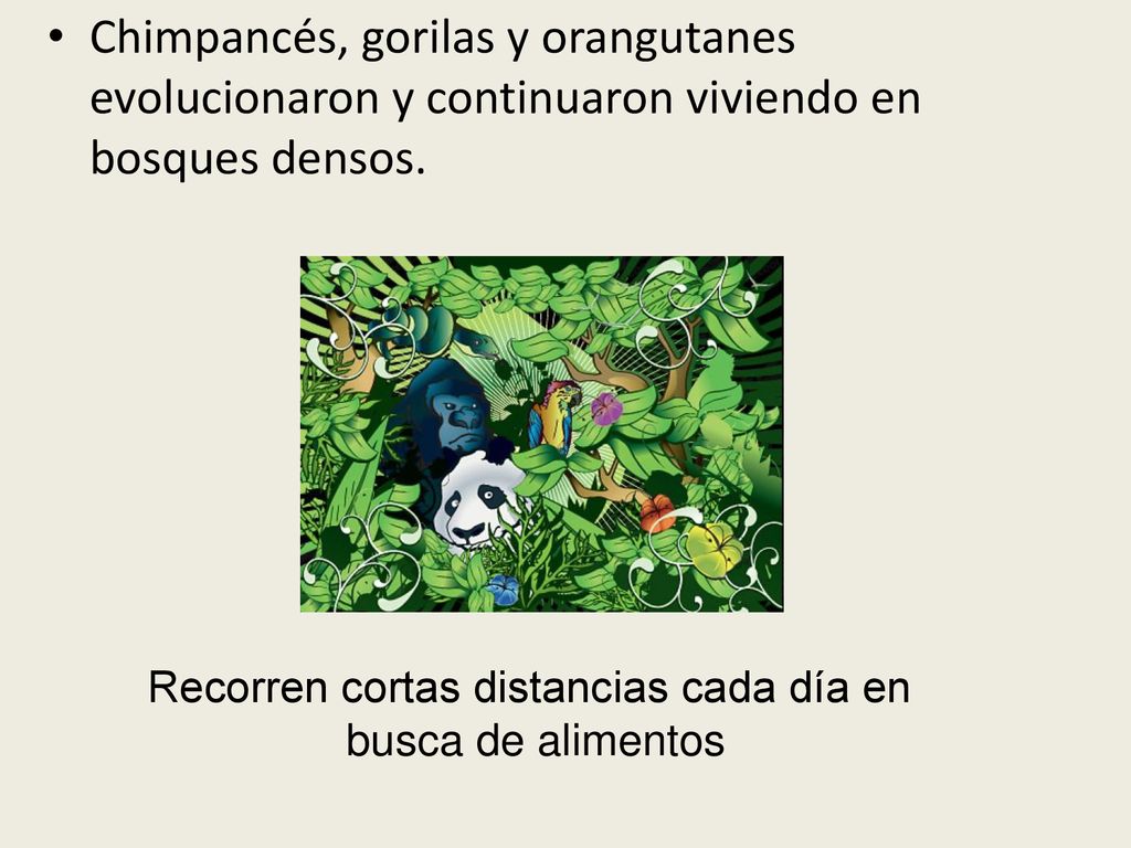 Recorren cortas distancias cada día en