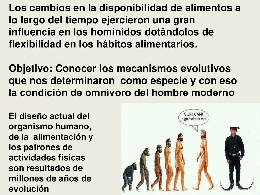 Los cambios en la disponibilidad de alimentos a lo largo del tiempo ejercieron una gran influencia en los homínidos dotándolos de flexibilidad en los hábitos alimentarios.