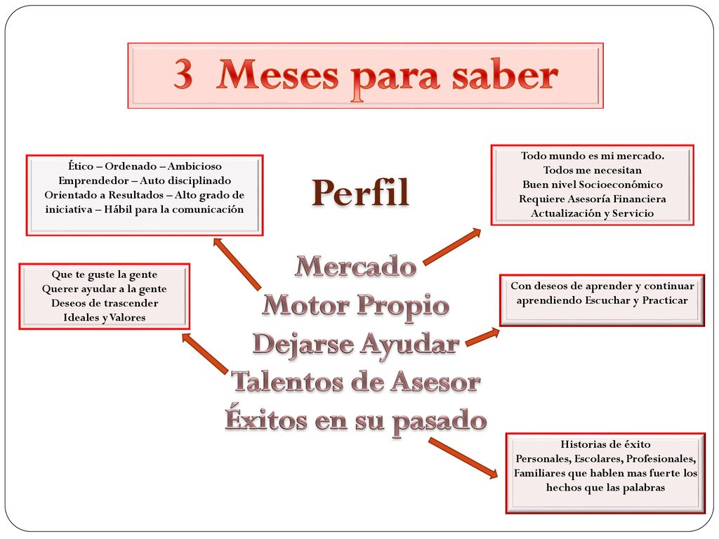 3 Meses para saber Perfil Mercado Motor Propio Dejarse Ayudar