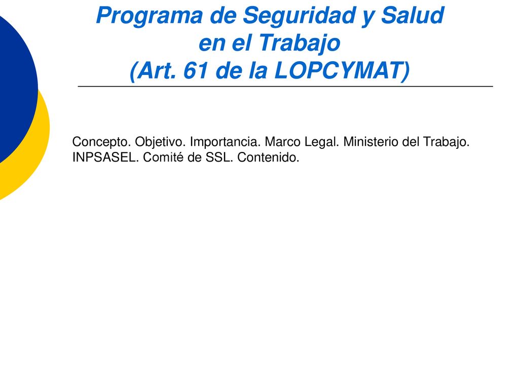 Programa de Seguridad y Salud en el Trabajo (Art. 61 de la LOPCYMAT)