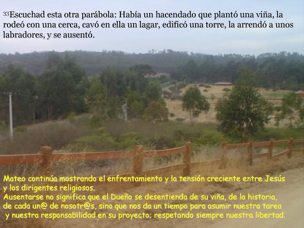 33Escuchad esta otra parábola: Había un hacendado que plantó una viña, la rodeó con una cerca, cavó en ella un lagar, edificó una torre, la arrendó a unos labradores, y se ausentó.