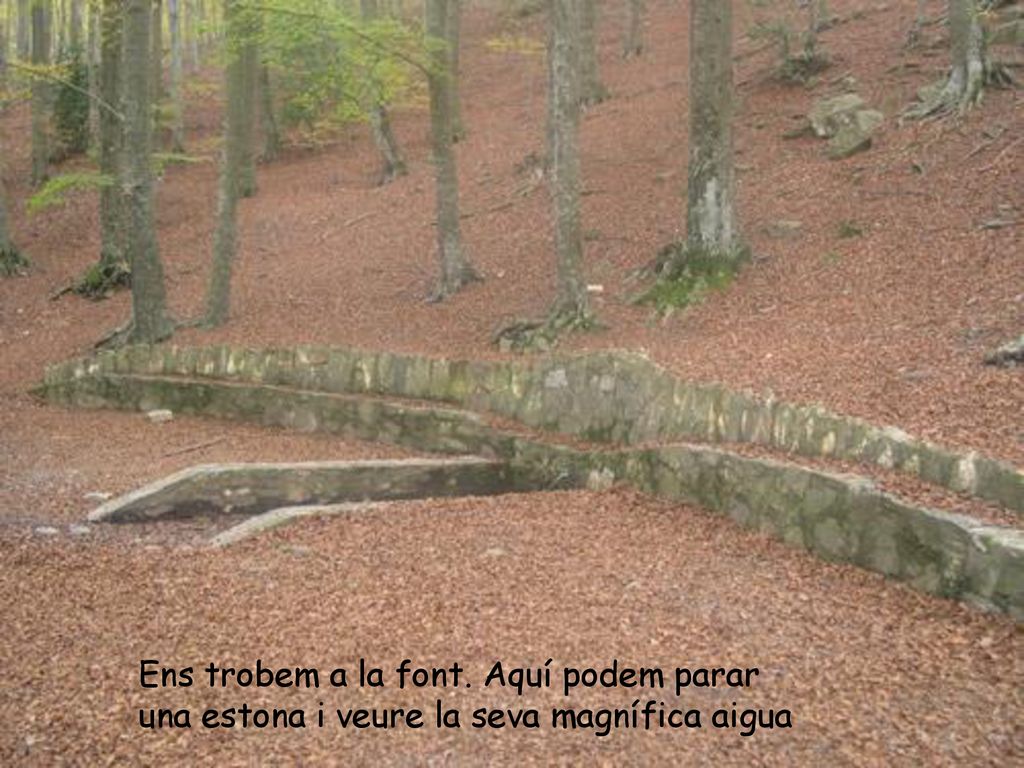 Ens trobem a la font. Aquí podem parar una estona i veure la seva magnífica aigua
