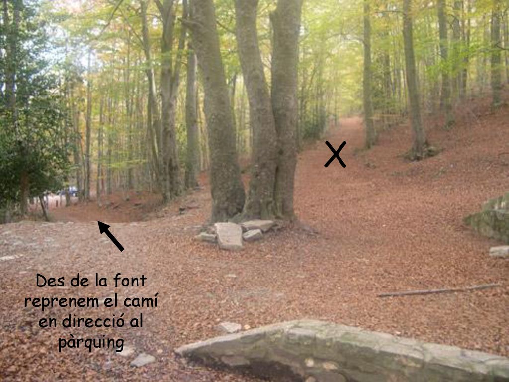 Des de la font reprenem el camí en direcció al pàrquing
