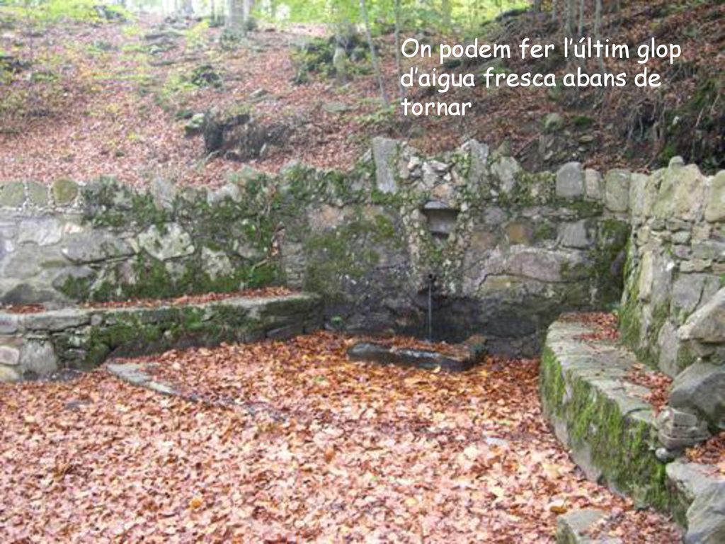 On podem fer l’últim glop d’aigua fresca abans de tornar