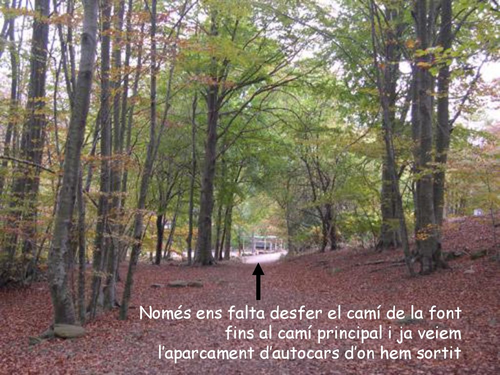 Només ens falta desfer el camí de la font fins al camí principal i ja veiem l’aparcament d’autocars d’on hem sortit