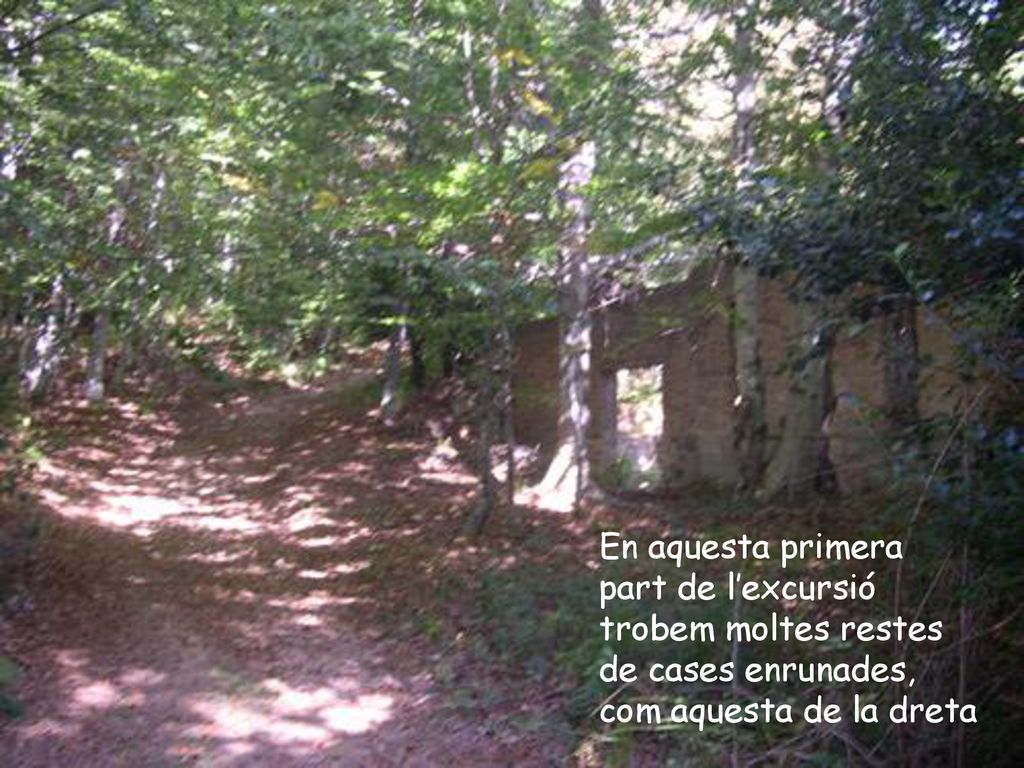 En aquesta primera part de l’excursió trobem moltes restes de cases enrunades, com aquesta de la dreta
