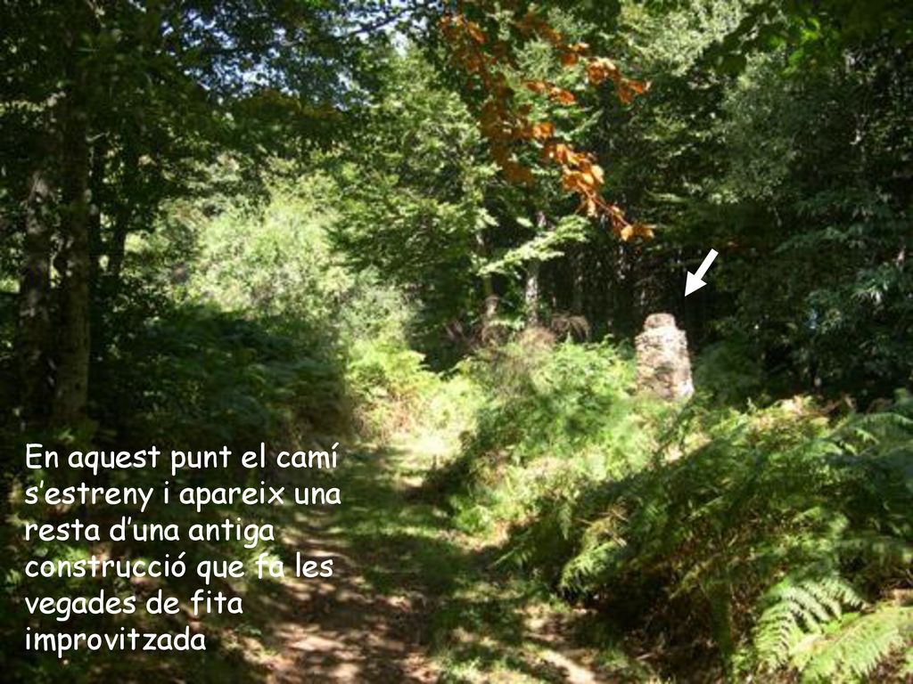En aquest punt el camí s’estreny i apareix una resta d’una antiga construcció que fa les vegades de fita improvitzada
