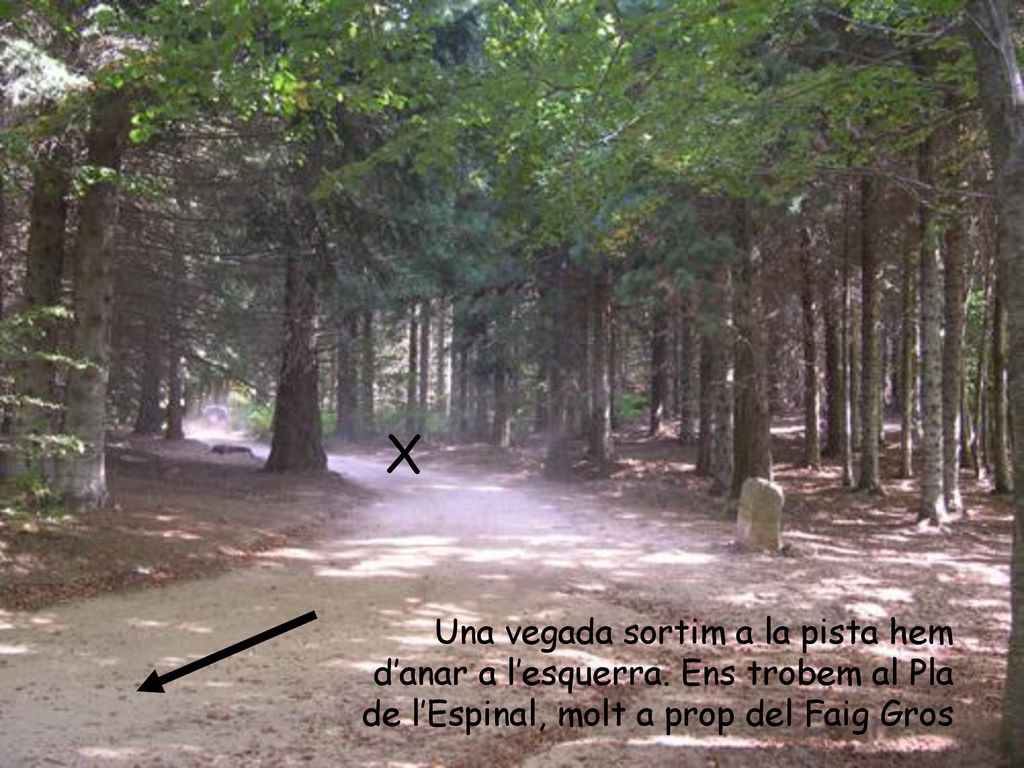 X Una vegada sortim a la pista hem d’anar a l’esquerra.