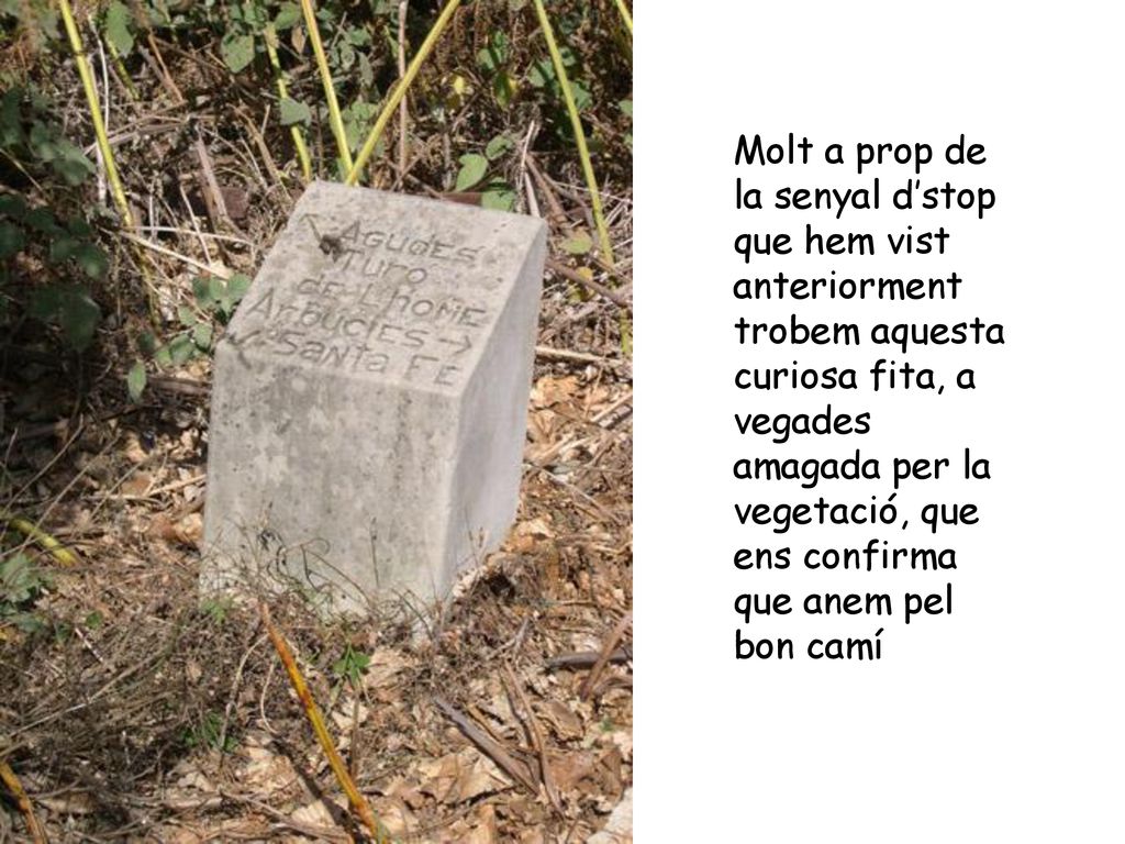 Molt a prop de la senyal d’stop que hem vist anteriorment trobem aquesta curiosa fita, a vegades amagada per la vegetació, que ens confirma que anem pel bon camí