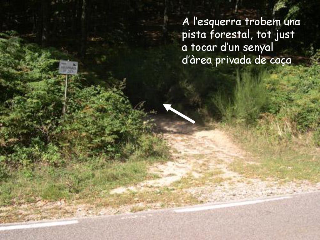 A l’esquerra trobem una pista forestal, tot just a tocar d’un senyal d’àrea privada de caça