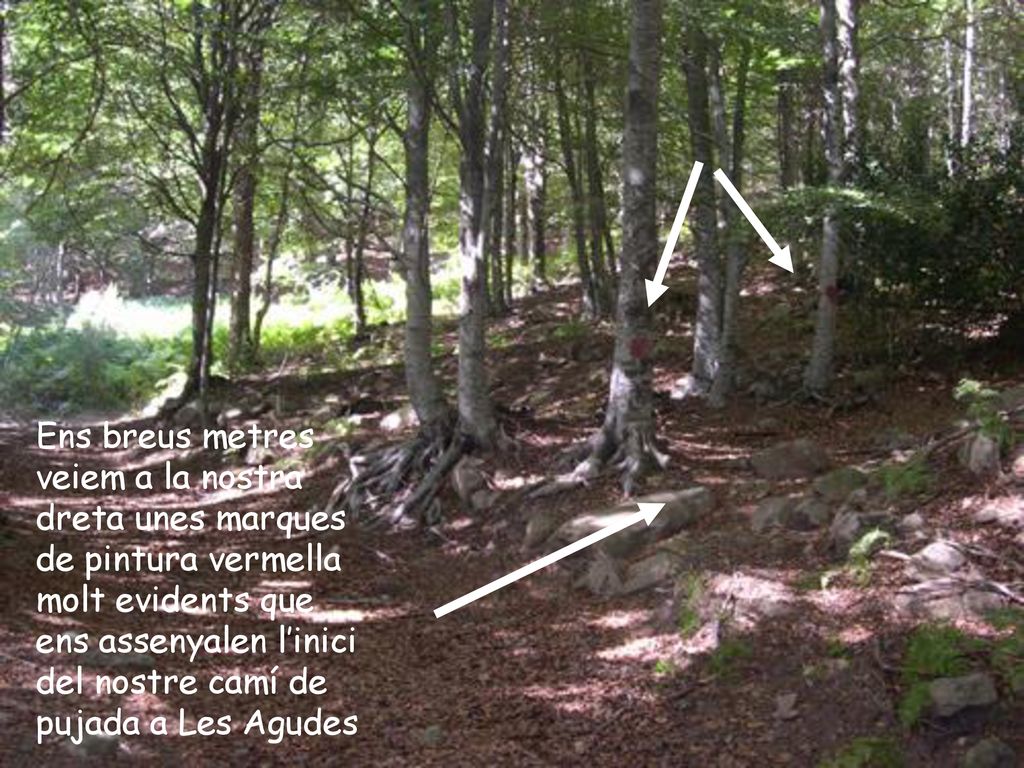 Ens breus metres veiem a la nostra dreta unes marques de pintura vermella molt evidents que ens assenyalen l’inici del nostre camí de pujada a Les Agudes