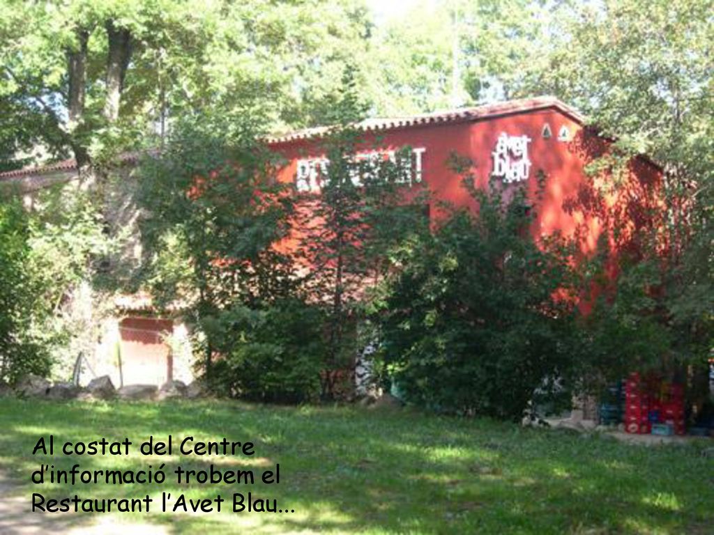 Al costat del Centre d’informació trobem el Restaurant l’Avet Blau...